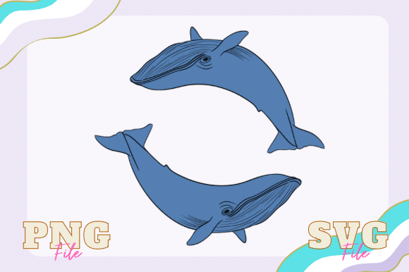 Download Blue Whale Svg - Blue Collection